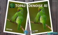 Topaz DeNoise AI图像降噪软件V3.7.2 Win与Mac版