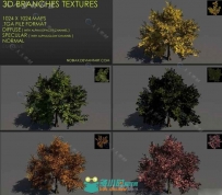超逼真3D效果树枝贴图纹理Free 3D branches textures 01