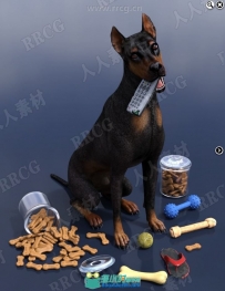 动物狗咀嚼磨牙道具3D模型合集