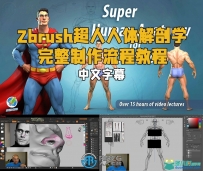 Zbrush超人人体解剖学完整制作流程视频教程