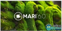 Mari三维纹理贴图绘制工具软件6.0v2版
