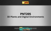 《SpeedTree三维植物环境绘景视频教程》FXPHD PNT205 3D Plants and Digital Envir...