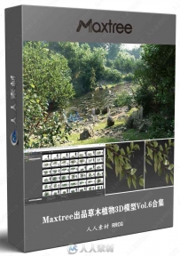 Maxtree出品草木植物3D模型Vol.6合集