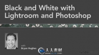 《Lightroom与PS色彩模式视频教程》Lynda.com Black and White with Lightroom and...