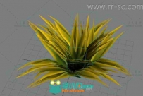 一个小草的3D模型适合笔刷