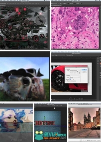 Photoshop CC基础技能实例训练视频教程 TrainSimple Photoshop CC Fundamentals