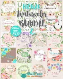 17款水彩风格花和植物平面素材合辑第二辑Big Watercolor floral Bundle 2