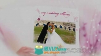 美丽婚礼书籍动画相册AE模板 RevoStock Wedding Photo Album Live Video Project f...