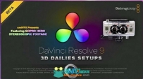 《达芬奇中使用GoPro设置立体样片教程》cmiVFX DaVinci Resolve 3D Dailies Setup ...