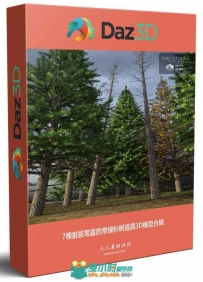 7棵挺拔笔直的常绿杉树道具3D模型合辑