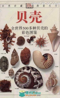 全世界500多种贝壳彩色图鉴书籍杂志