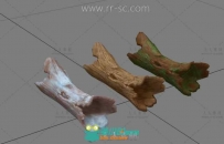 几个枯木桩3D模型