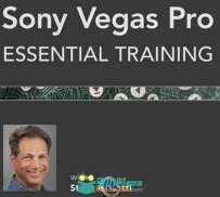 Sony Vegas基础训练视频教程