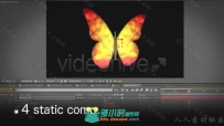 蝴蝶飞舞包装动画AE模板 Videohive Butterfly Wings Creator 4489656