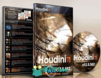 Houdini电影特效制作软件V12.5.562版