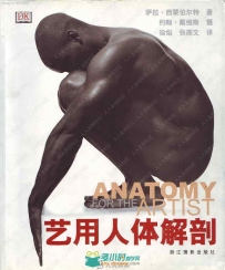原画师必备的艺用人体解刨中文版书籍杂志