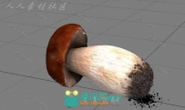 可爱的大蘑菇3D模型