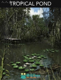 美丽丰富的热带池塘生态系统环境3D模型合辑