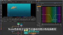 Nuke色彩校正分级节点基础技能训练视频教程