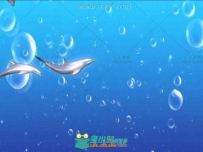 可爱的海豚群游嘻戏婚礼LED背景视频素材