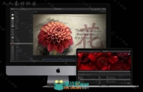 Apple Final Cut Pro X非线剪辑软件V10.3版 FINAL CUT PRO 10.3 MACOSX