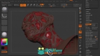 ZBrush制作恐怖人物角色视频教程 Digital-Tutors Making 3D Character Previsualiz...
