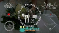 美丽优雅时尚的现代婚礼标题排版动画AE模板 Videohive Wedding Titles 19761639