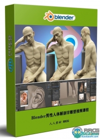 Blender男性人体解剖学雕塑大师级训练视频课程