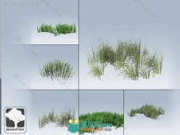 移动草包装模型SpeedTree®植物Unity3D素材资源