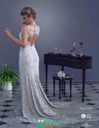 高贵华丽典雅新娘婚纱长裙套装3D模型合集