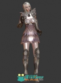 《TERA》女战士带骨骼蒙皮动画3D模型