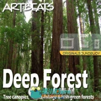 《森林绿树植物高清实拍视频素材合辑》Artbeats Deep Forest HD