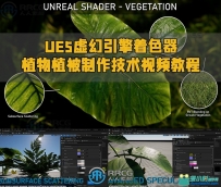 UE5虚幻引擎着色器植物植被制作技术视频教程