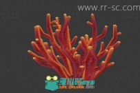 火红的珊瑚3D模型
