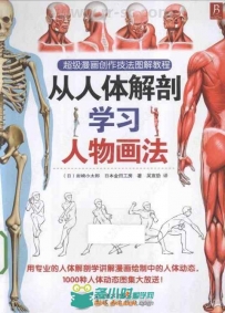 从人体解剖学习人物画书籍杂志