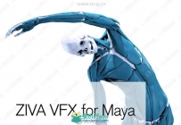 Ziva Dynamics Ziva VFX骨骼肌肉运动模拟Maya插件V1.8版
