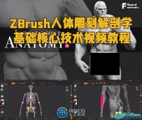ZBrush人体雕刻解剖学基础核心技术视频教程