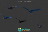 游戏中的5只乌鸦3D模型