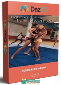 女性跆拳道搏击姿势3D模型合辑
