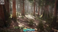 大型红杉森林完整自然场景UE4游戏素材资源