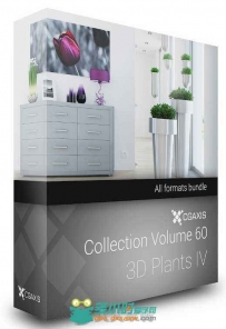 31组高精度植物花卉室内饰品3D模型合辑 CGAXIS VOL 60 PLANTS IV