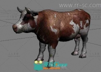 现实一只奶牛3D模型