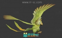 超可爱的小鹦鹉3D模型