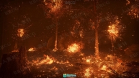 逼真森林大火效果环境Unreal Engine游戏素材资源
