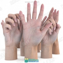 11组超精致女性手掌手臂动作姿势3D模型与贴图