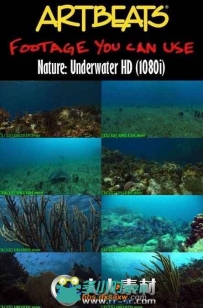 《海底世界高清实拍视频素材合辑》Artbeats Underwater HD