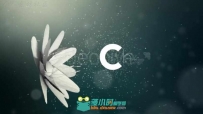 花朵绽放Logo演绎动画AE模板 Videohive Flower Logo 3572916