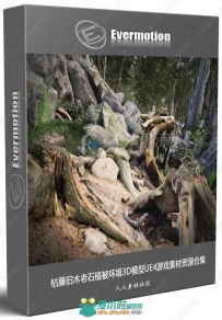 枯藤旧木老石植被环境3D模型UE4游戏素材资源合集 Evermotion