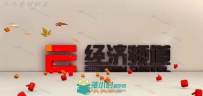 沈阳经济频道案例动画全解析C4D中文视频教程
