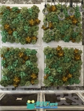 墙面装饰植物3D模型 3dsMax 2014 + fbx (Vray) 51.66 MB